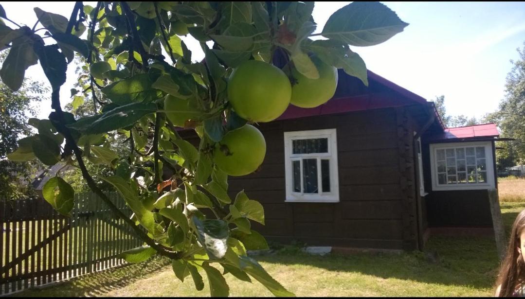 Sielski Kulikow Bagian luar foto